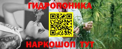 дживик Новоалтайск
