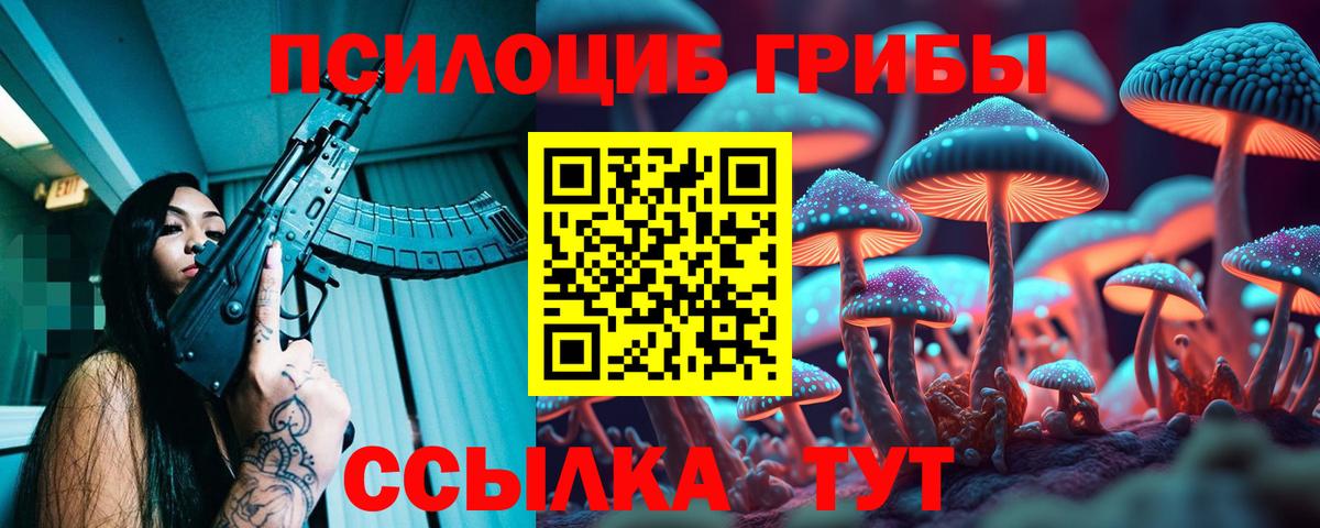 Дмитров  Галлюциногенные грибы Psilocybe  как найти наркотики  Галлюциногенные грибы ЛСД  Вход с VPN 
